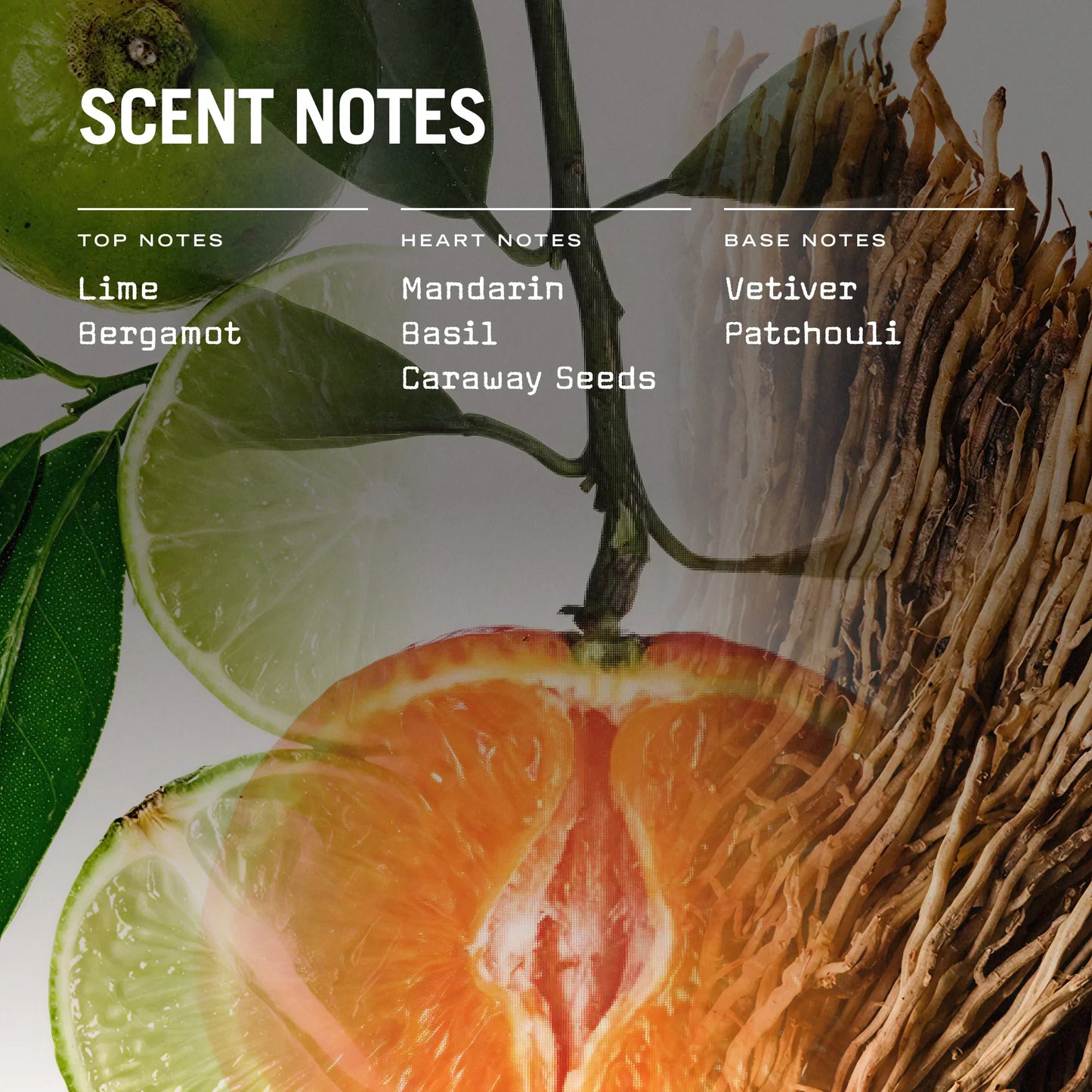 Citrico Scented Candle