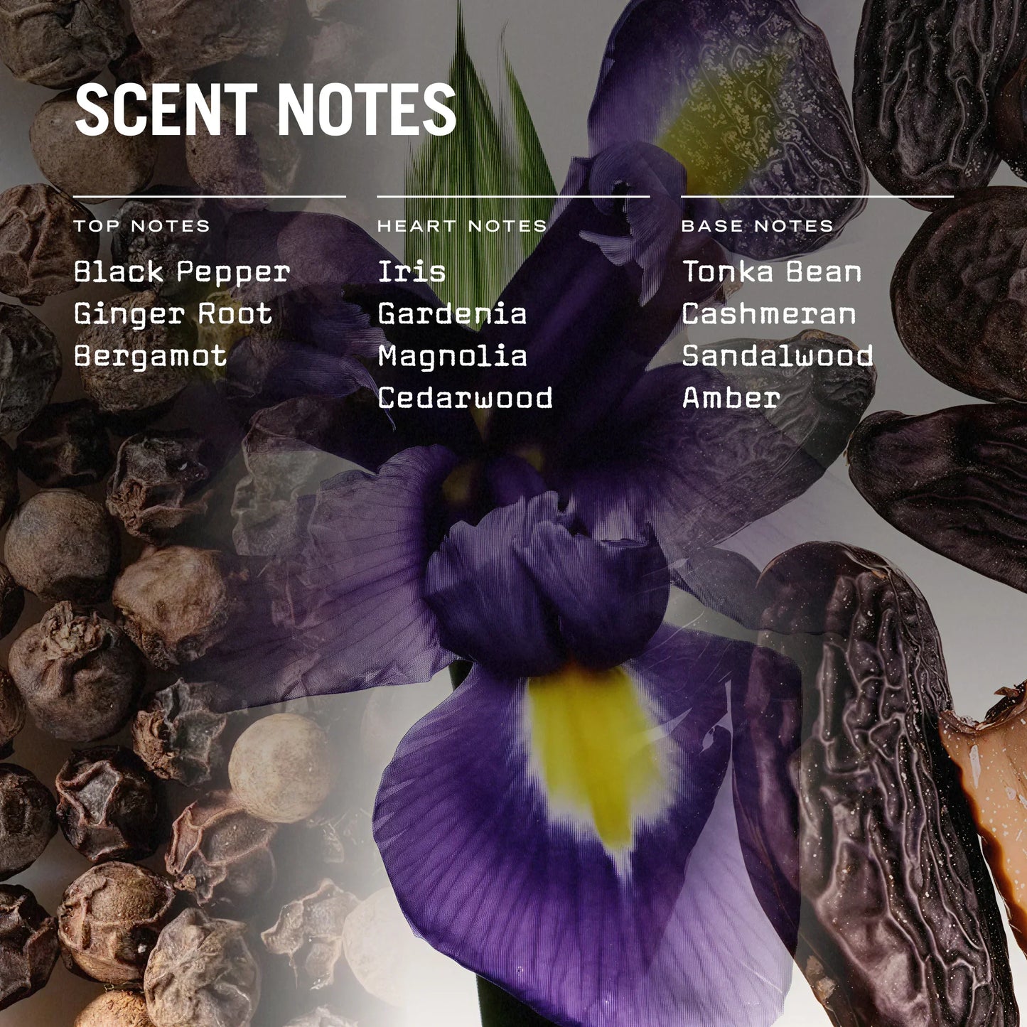 Firenze Leather Reed Diffuser