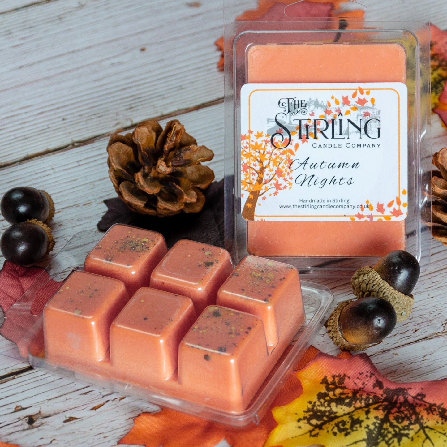 Autumn Nights - Wax Melt Clamshell