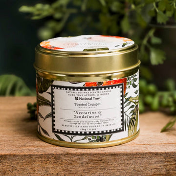 Nectarine & Sandalwood Candle in a Matt Gold Tin