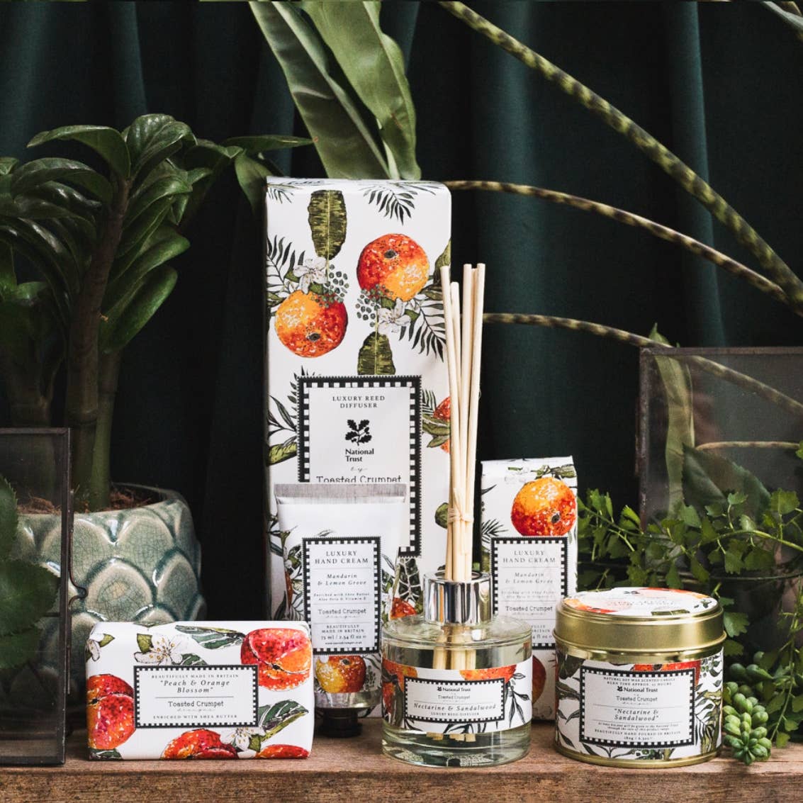 Nectarine & Sandalwood Diffuser