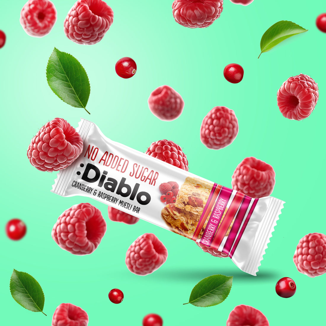 Cranberry and Raspberry Muesli Bar