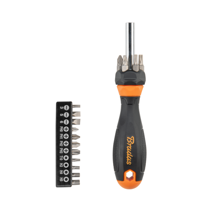 Screwdriver with Multi-Bit Set