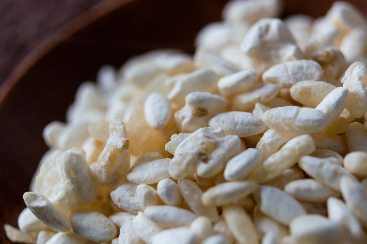 Miso Making Kit