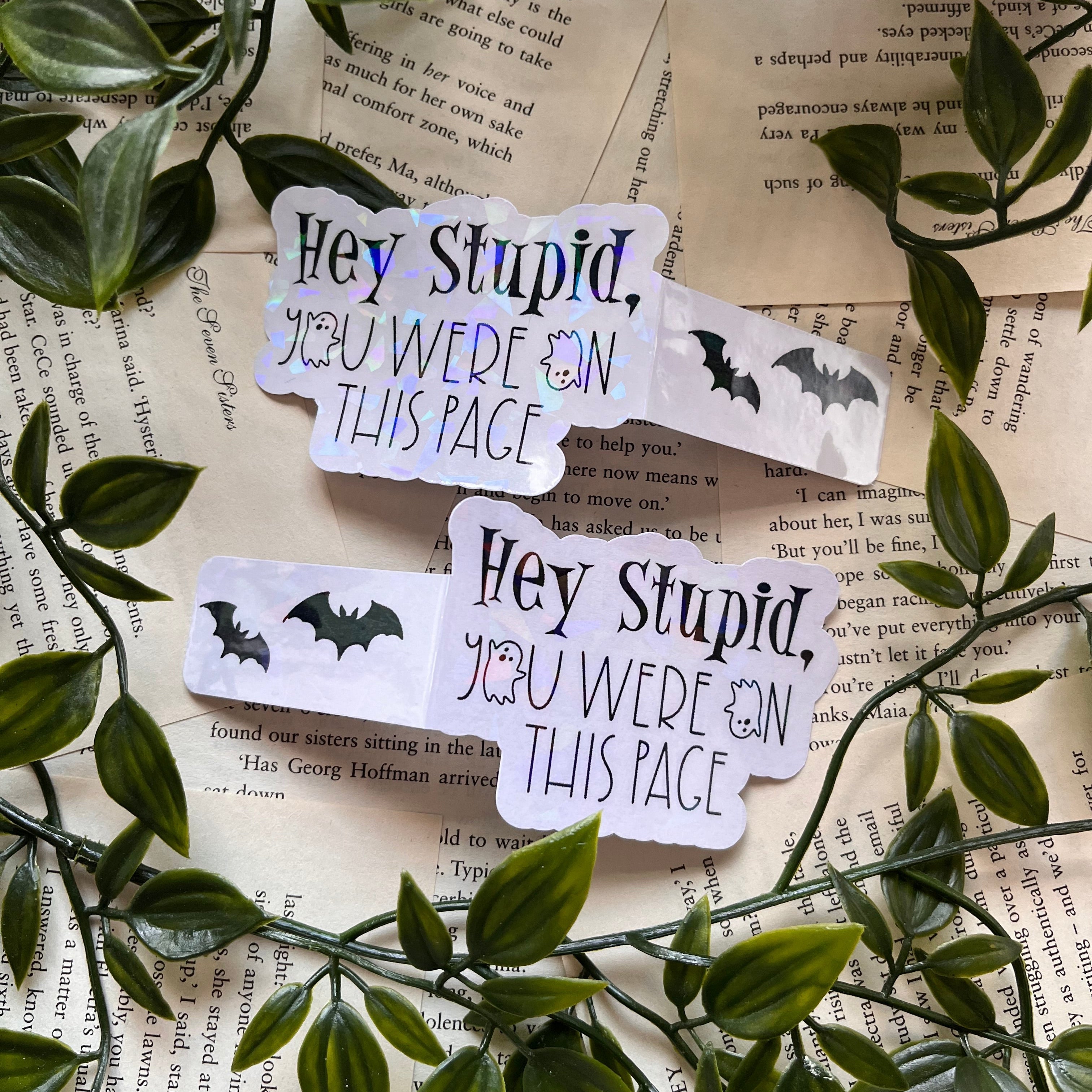 Hey Stupid! Magnetic Bookmark