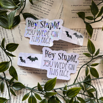 Hey Stupid! Magnetic Bookmark