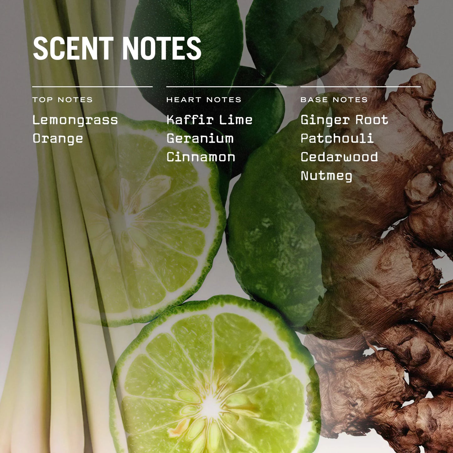 Eastern Garden Scented Candle Refill