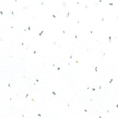 PVC Shower and Wall Panel - 2400 x 1000mm