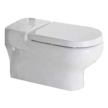 Deluxe Rimless Wall Hung WC Pan