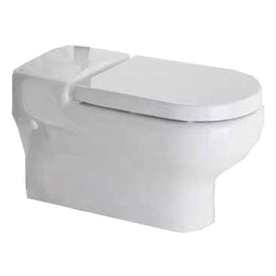 Deluxe Rimless Wall Hung WC Pan