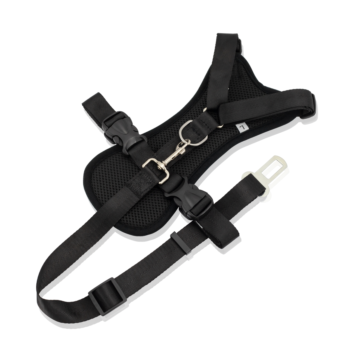 Strap Harness