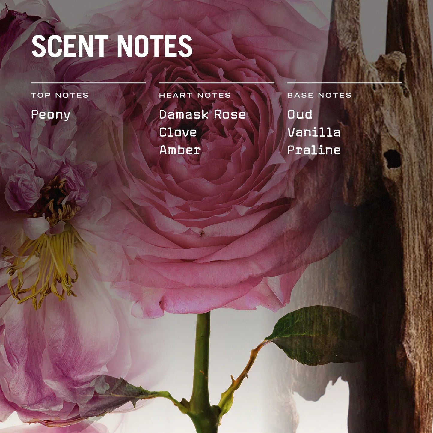 Oud Fortune Scented Candle