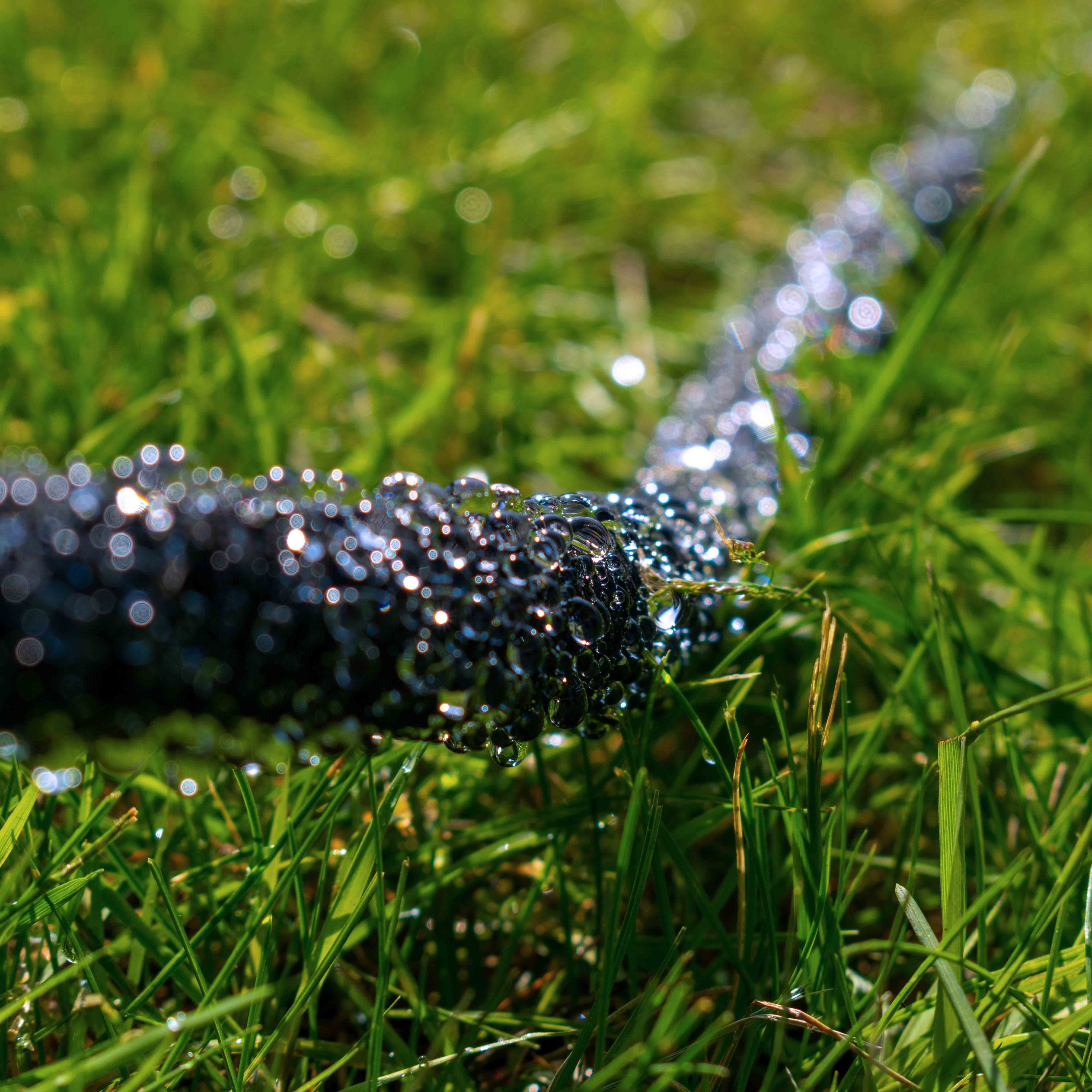 Aqua-Drop Soaker Hose with Connector 25m