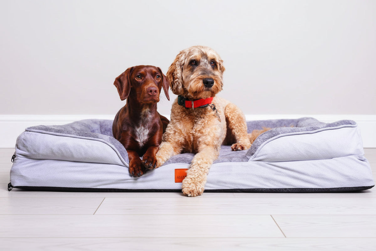 The Belgravia Orthopaedic Dog Sofa™