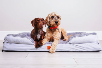 The Belgravia Orthopaedic Dog Sofa™