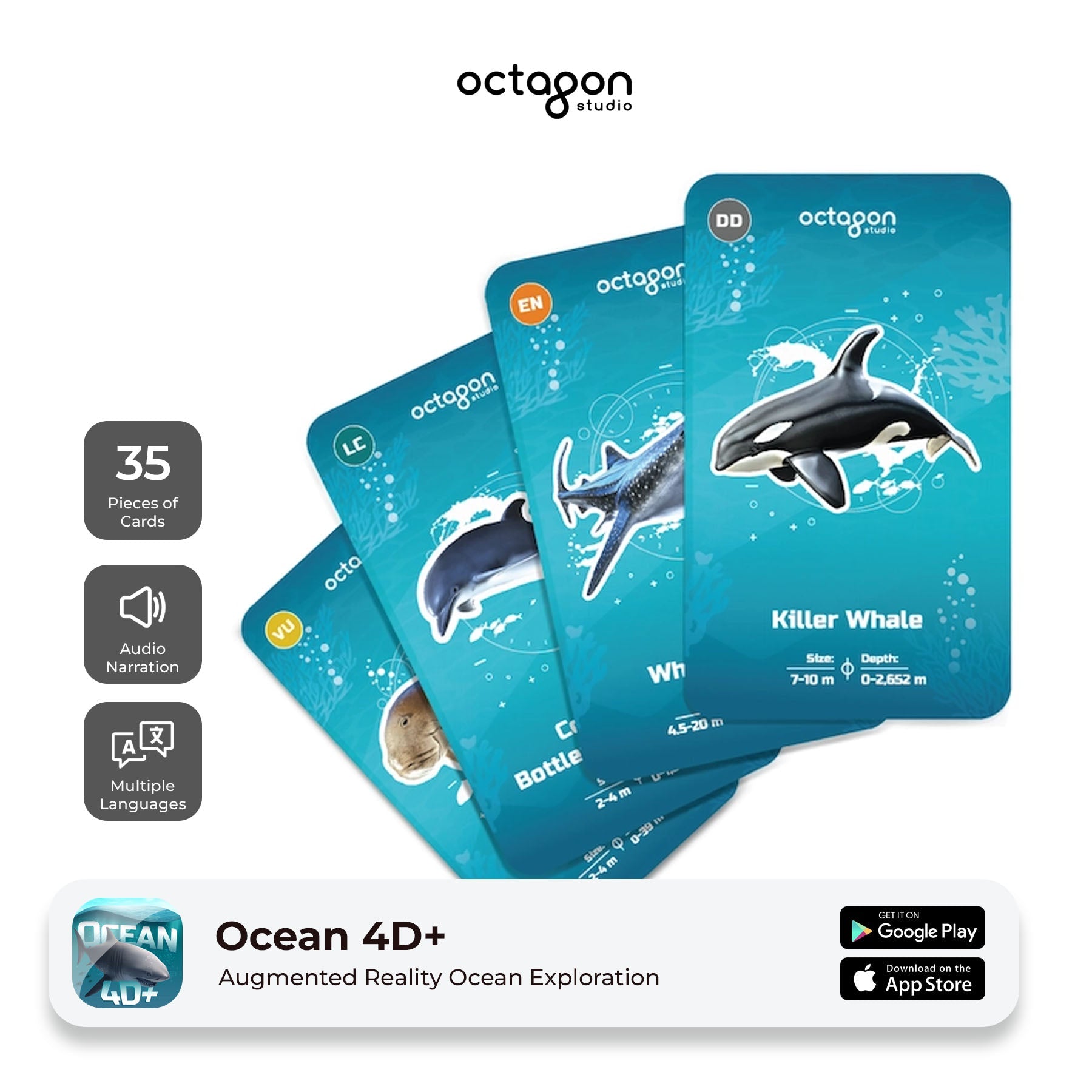 Ocean 4D+ Augmented Reality Cards