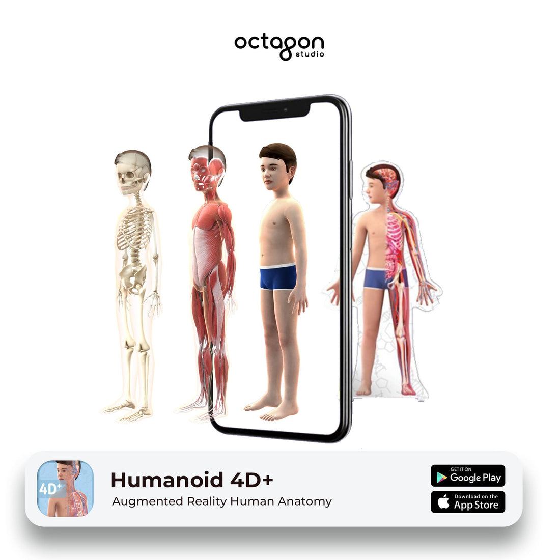 Humanoid 4D+ Augmented Reality Cards