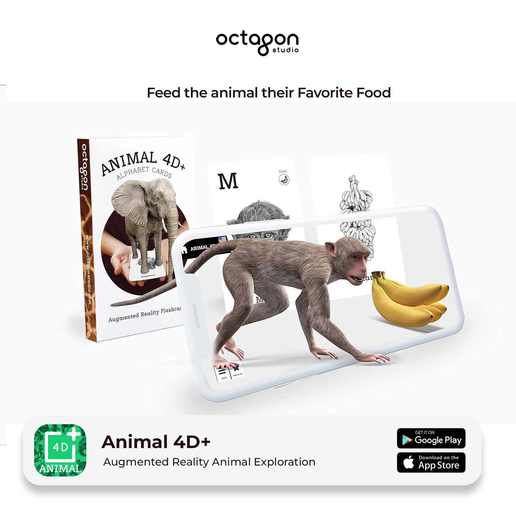 Animal 4D+ Augmented Reality Cards