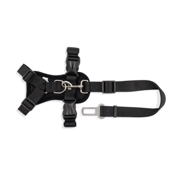 Strap Harness