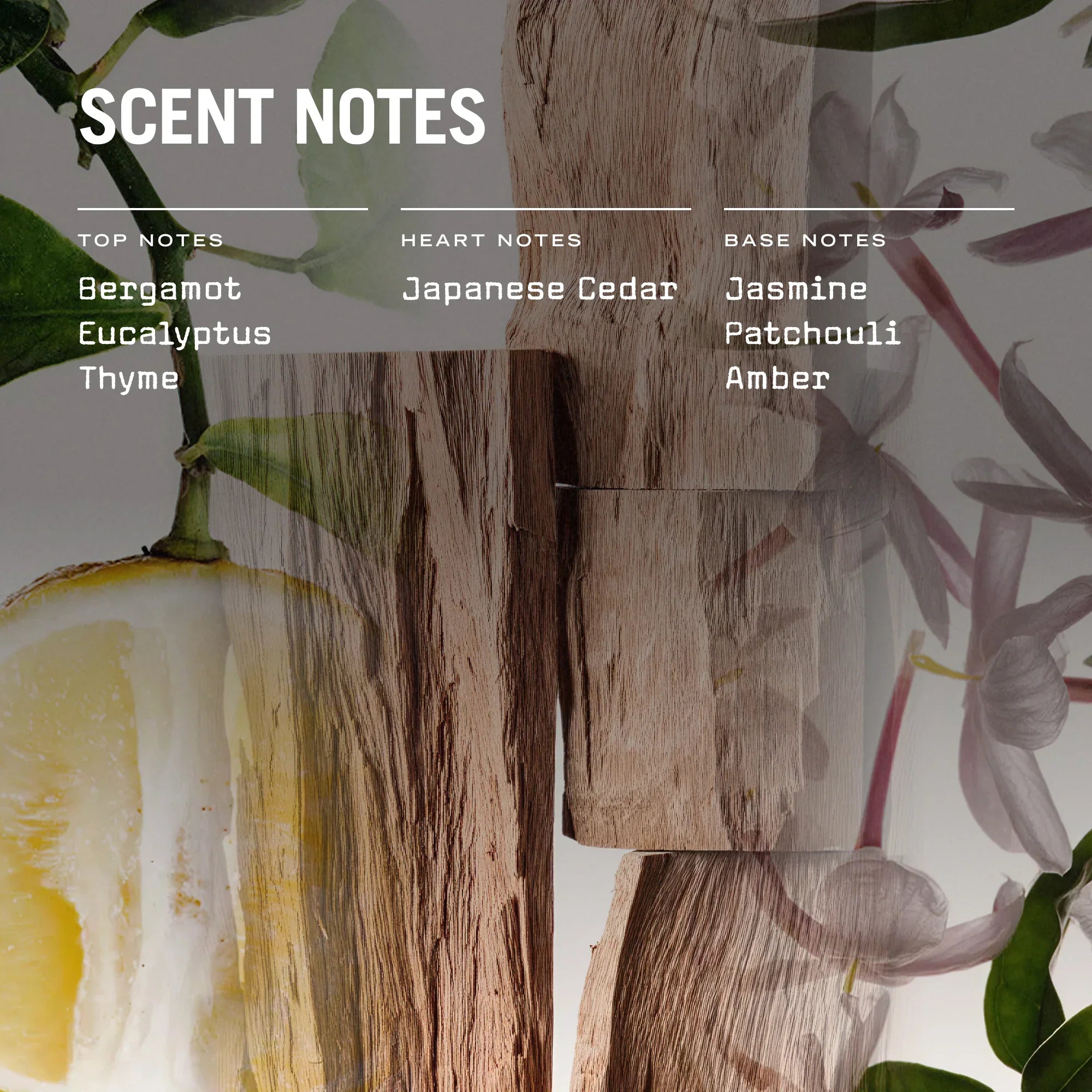 Sugi Scented Candle