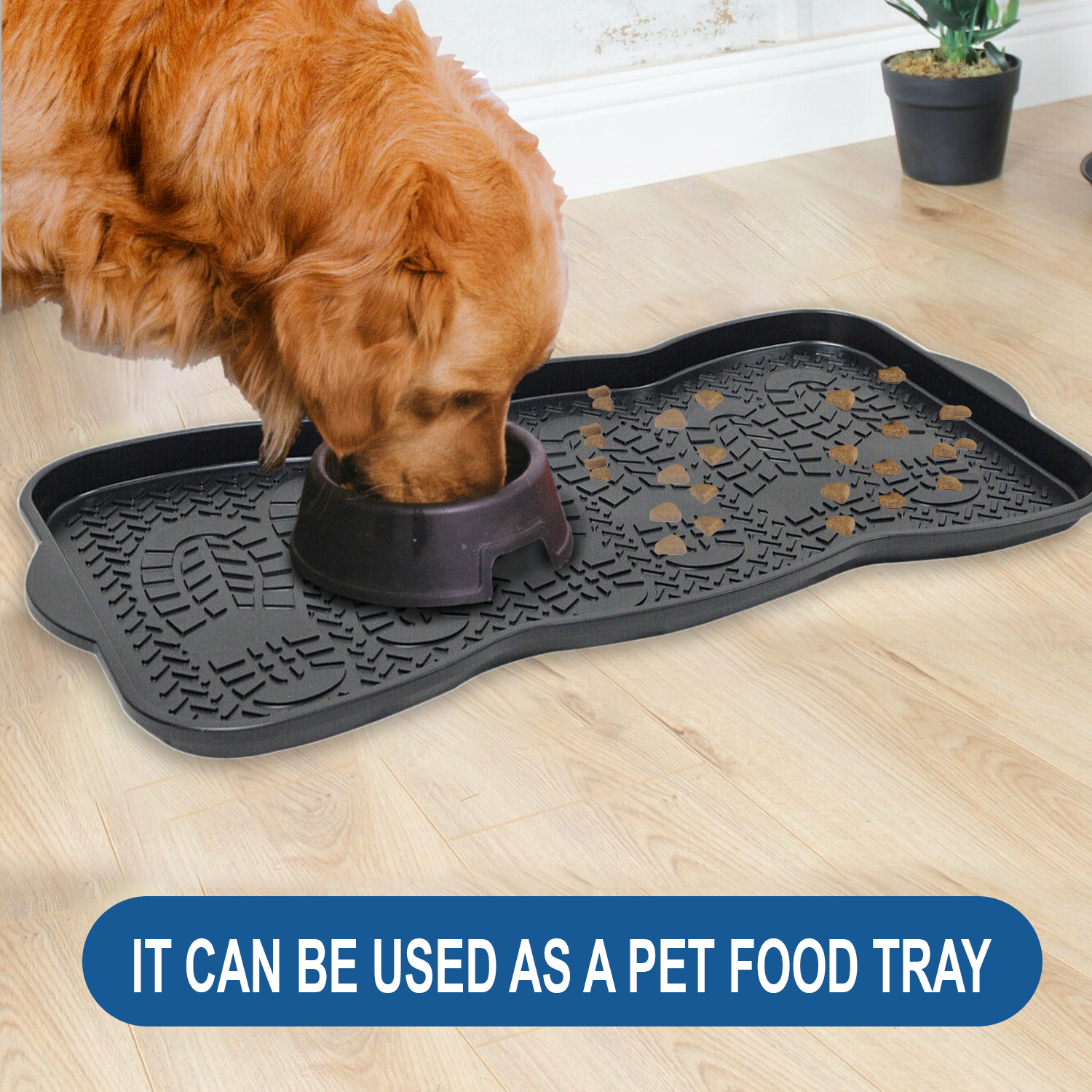 Multi Purpose Plastic Shoe Tray