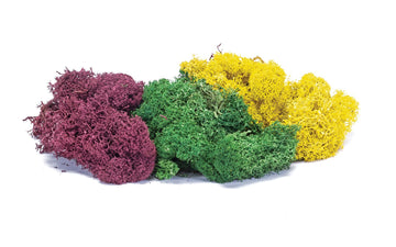 Hornby SkaleScenics R7197 Lichen - Large Autumn Mix