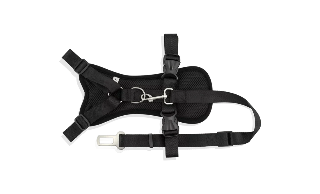 Car Strap Dog Harness - Large
