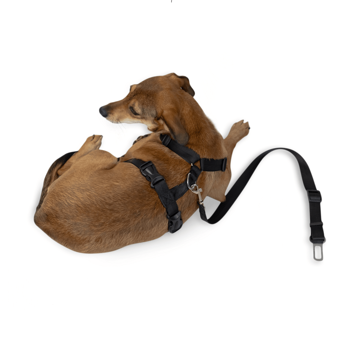 Car Strap Dog Harness - Large