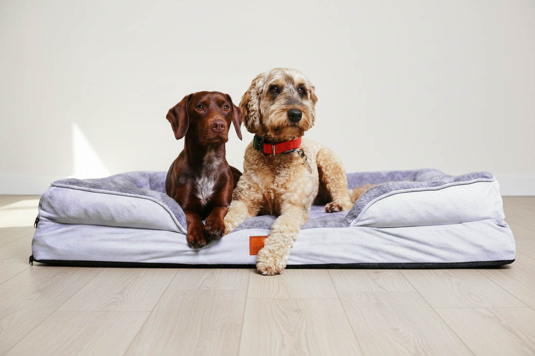 The Belgravia Orthopaedic Dog Sofa™ - Xl