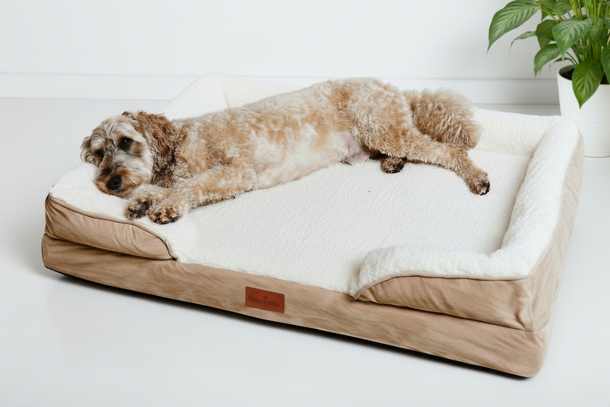 The Belgravia Orthopaedic Dog Sofa™