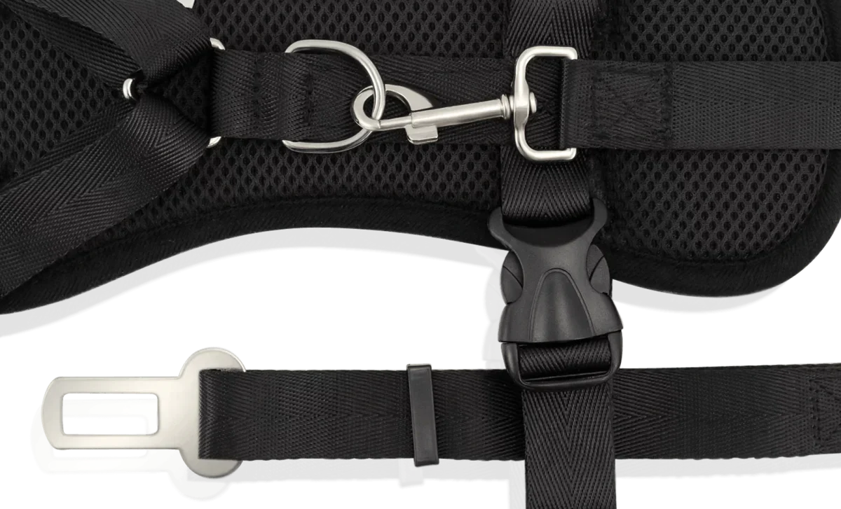 Dog Strap Harness - Small
