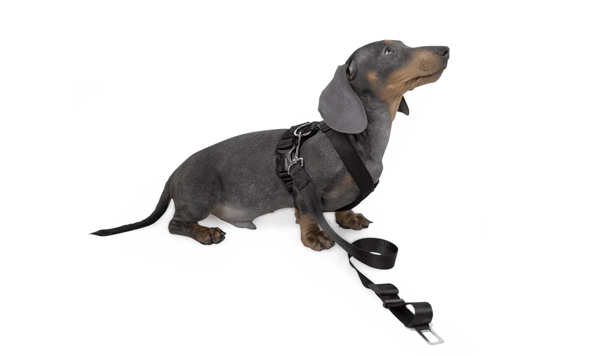 Dog Strap Harness - Small