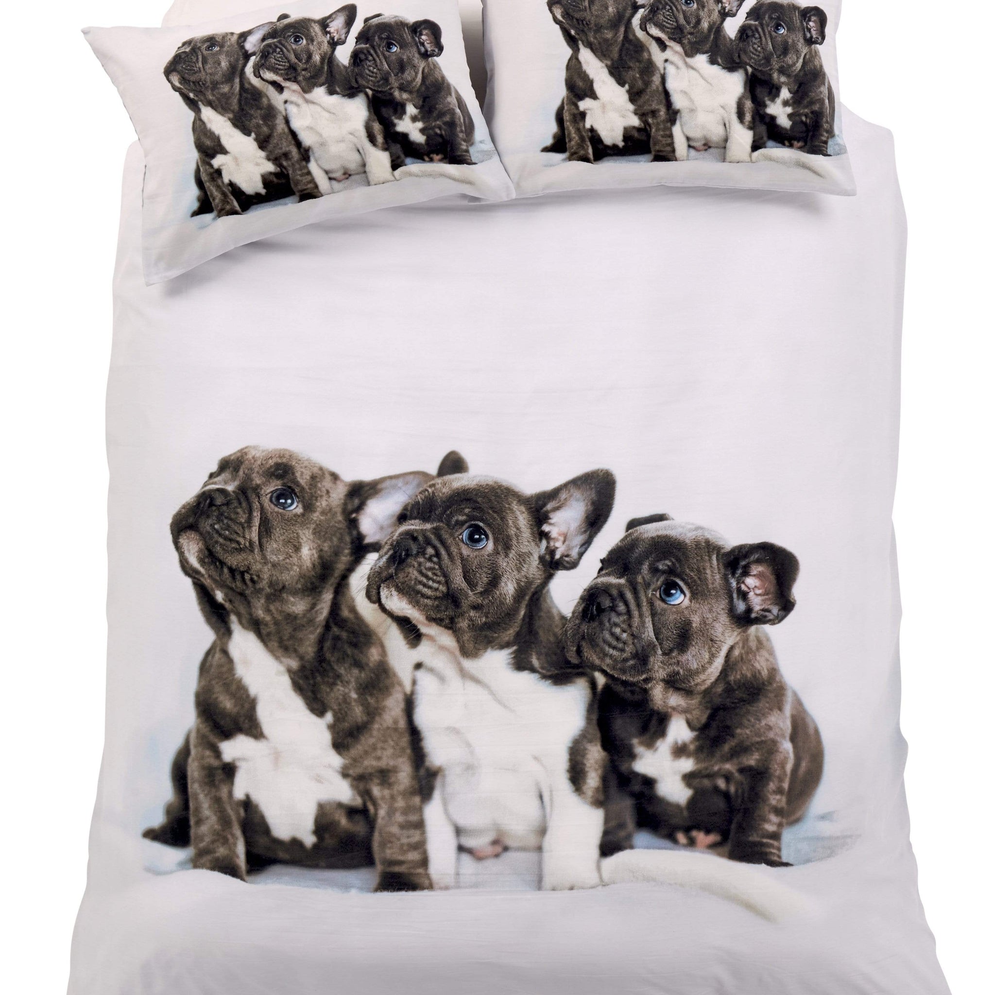 Frenchie Elegant Cotton-Rich Duvet Set with Vibrant Colours and Patterns for Bedroom Transformation Single Double King by OLIVIA ROCCO