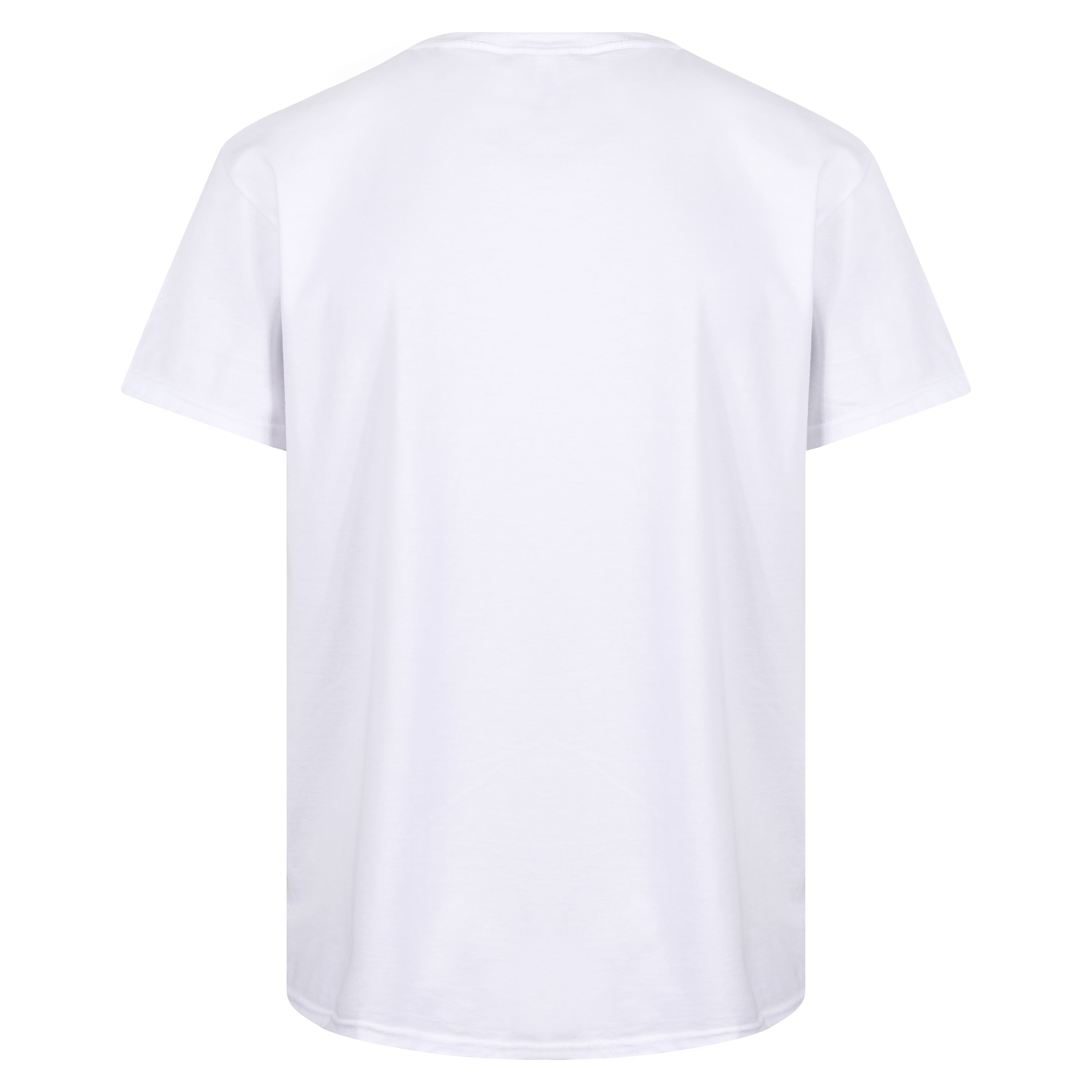 Fruit of the Loom Iconic 165 Classic T-Shirt