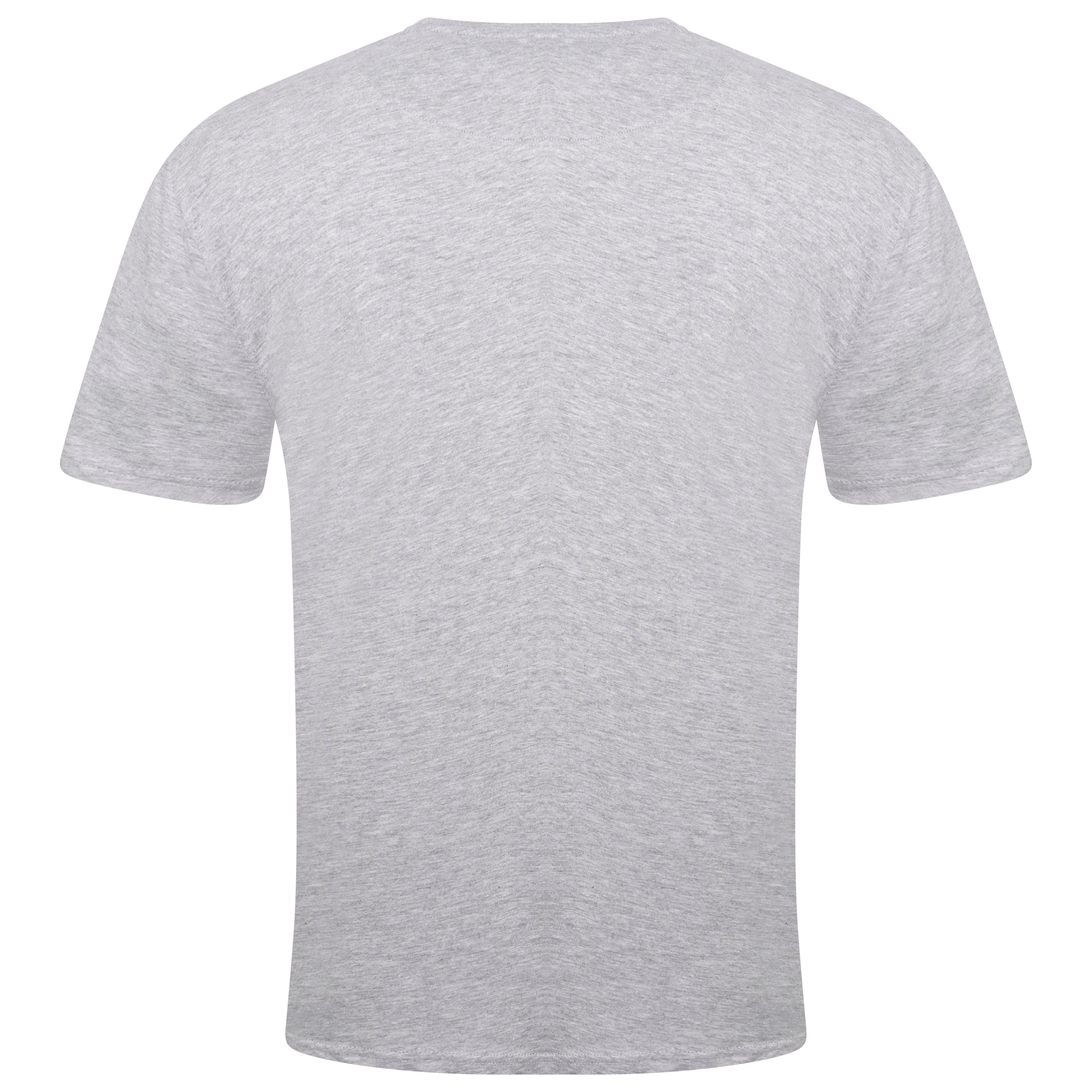 Brave Soul Saint Cotton V Neck T-Shirt