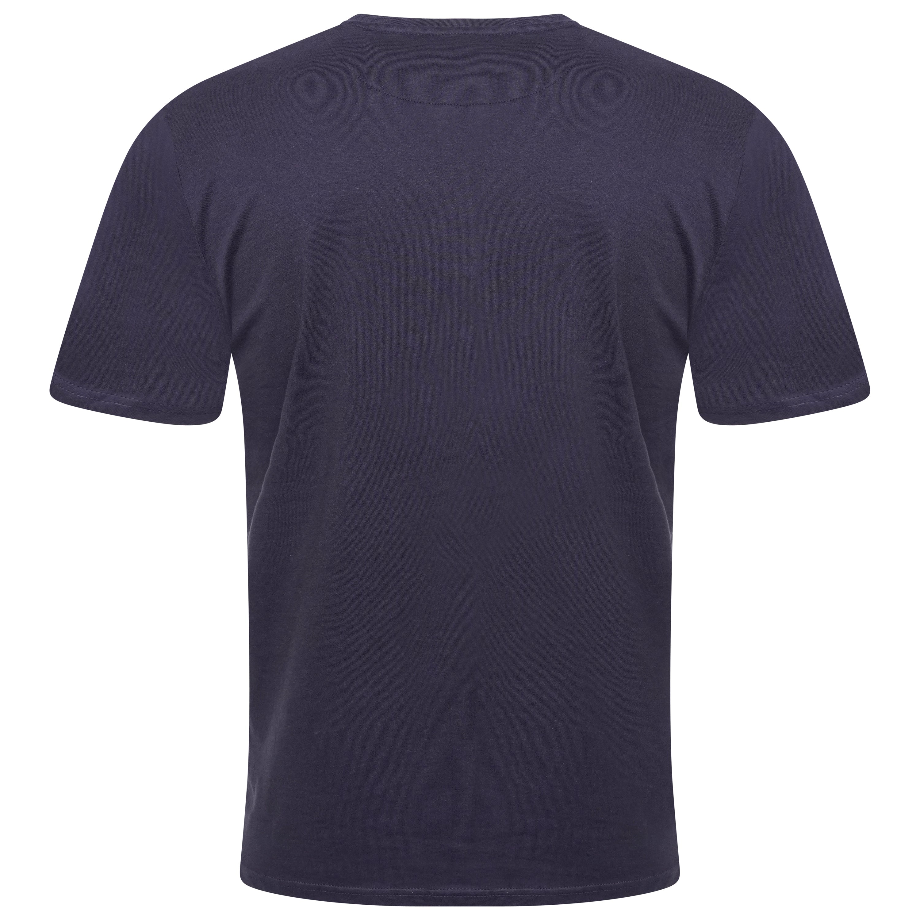 Brave Soul Saint Cotton V Neck T-Shirt