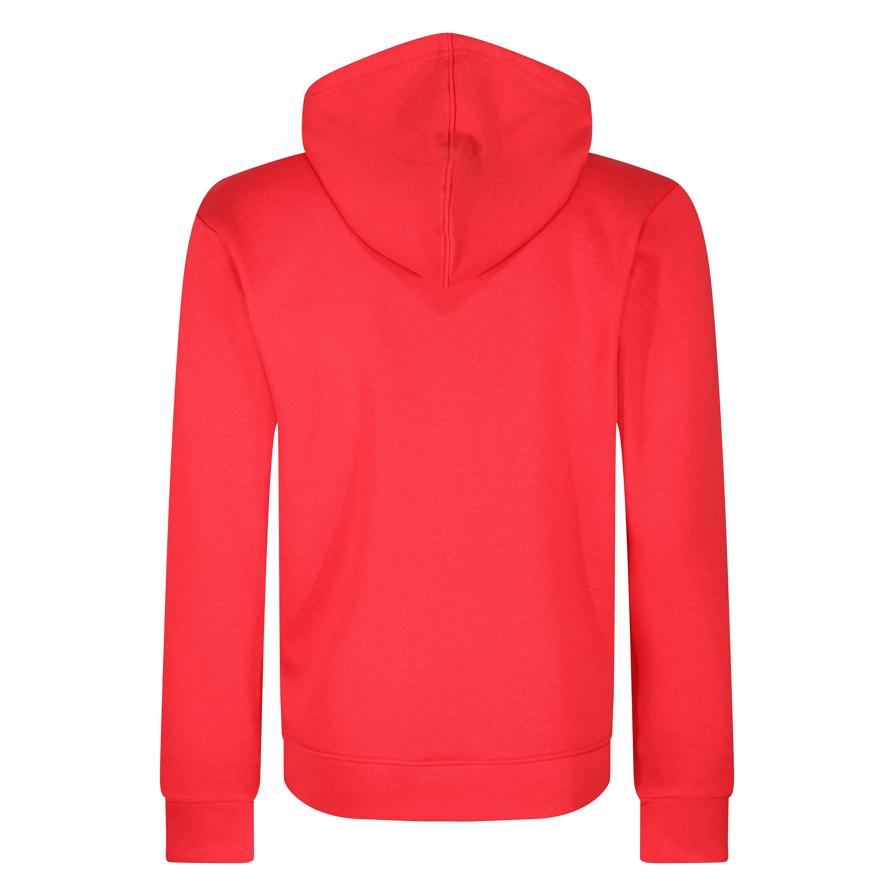 Champion Script Logo Hoodie