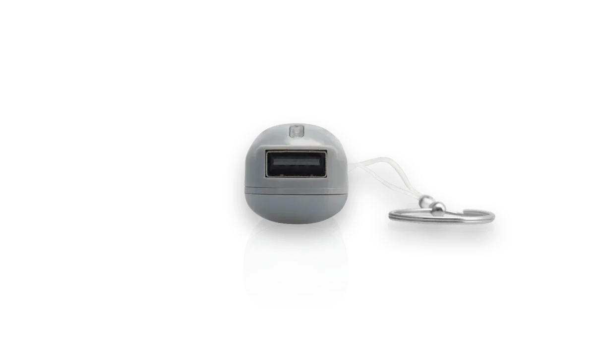 Power Bank - in Car charging